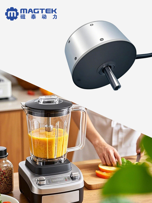 食品料理機(jī)電機(jī)